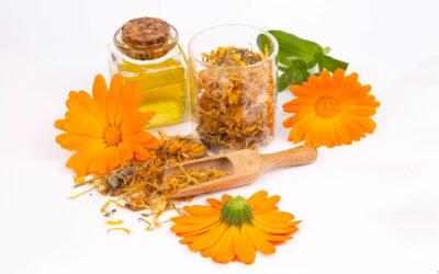 Tutti i benefici della calendula per la pelle dei bambini